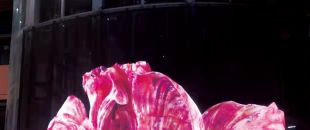 led屏為什么會流行起來？都有什么特點？