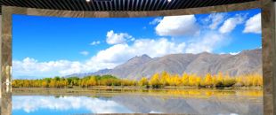 小間距led顯示屏未來的發展前景怎么樣？