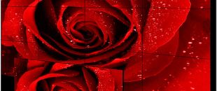  小間距LED屏的像素這么密，是怎么做到不出現(xiàn)顏色偏差的呀？